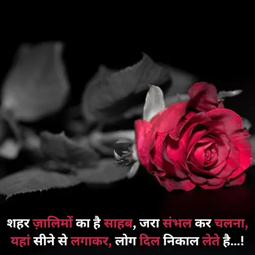 Shayari Status in Hindi