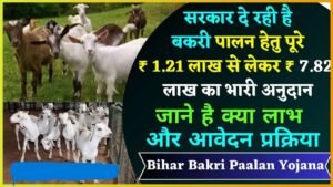 Bihar Bakri Palan Yojana 2024